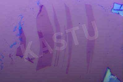 苏州卡斯图MIR100近红外显微镜如何揭示石墨烯的隐藏结构