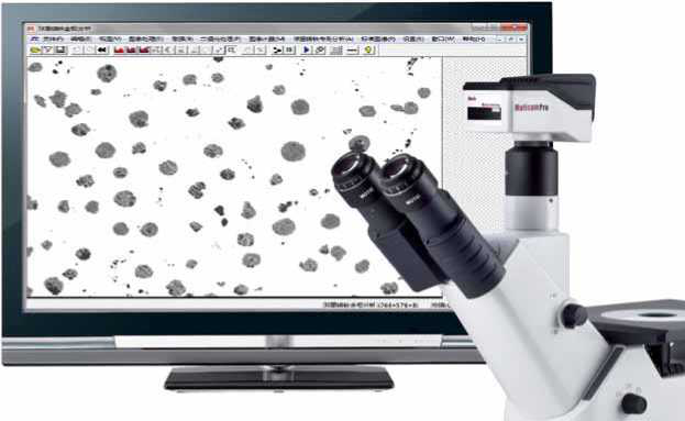 1589265492.png 图片16.png