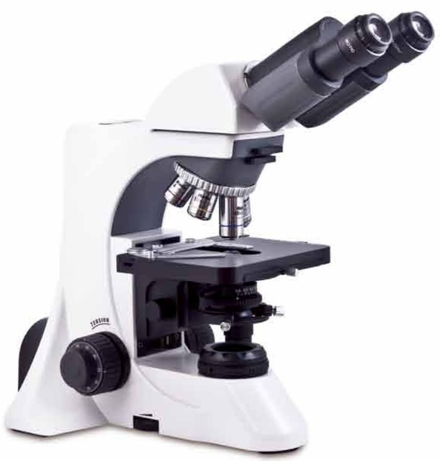 1589954152.png 1589954152.png