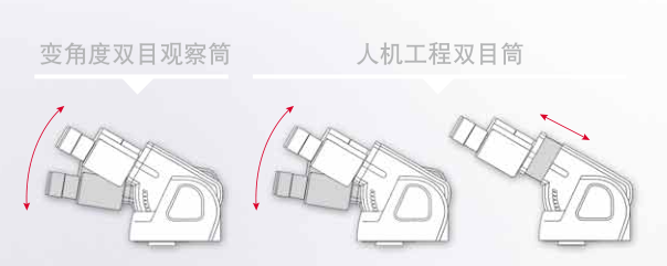 1589954463.png 1589954463.png