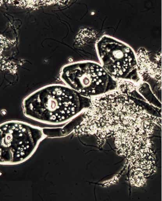 1589956120.png 1589956120.png