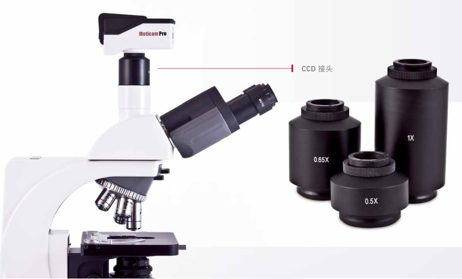 1589956508.png image.png