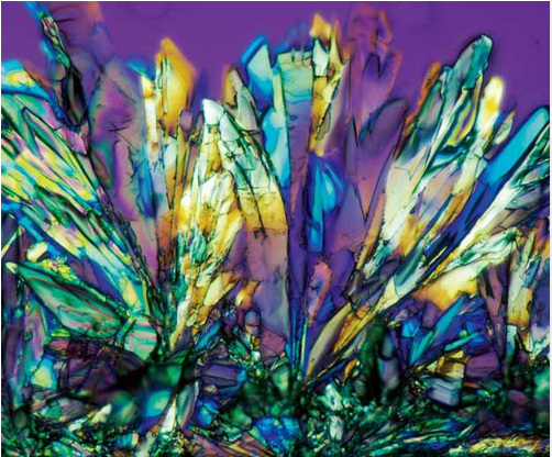 1589956724.png image.png