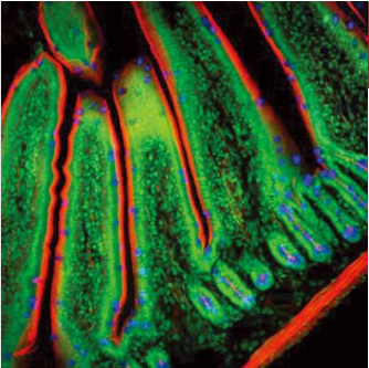 1589957621.png image.png