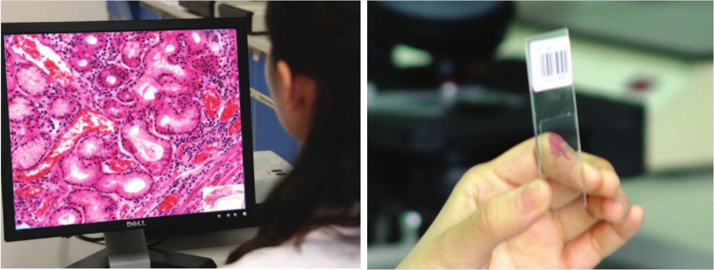 1589961197.png 1589961197.png