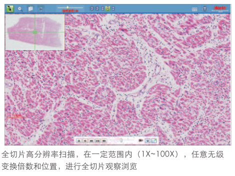 1589961703.png image.png