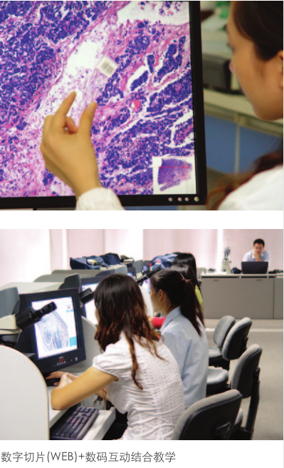 1589962043.png image.png