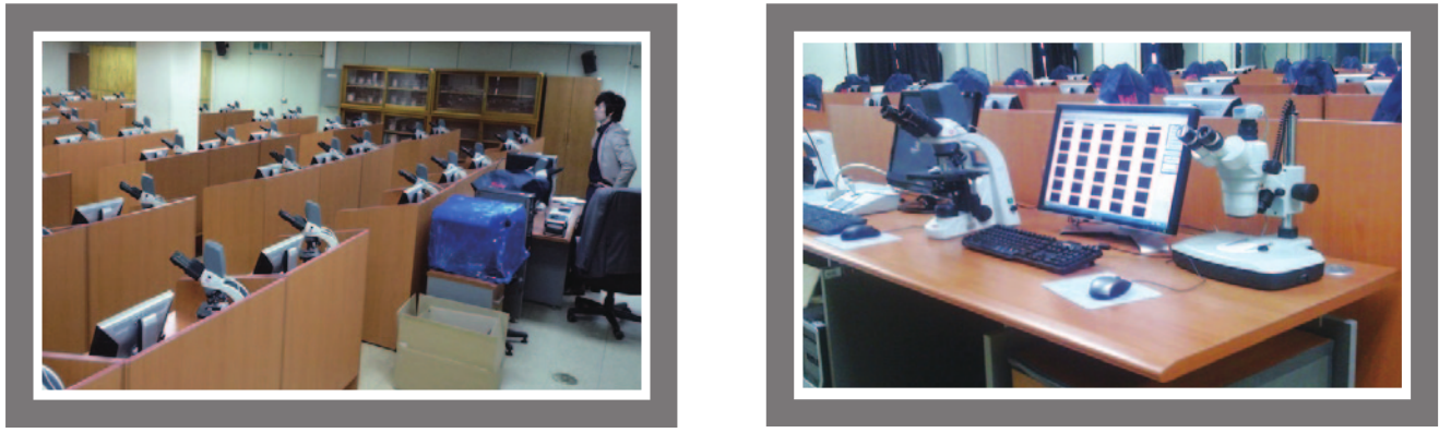 1589964032.png 1589964032.png