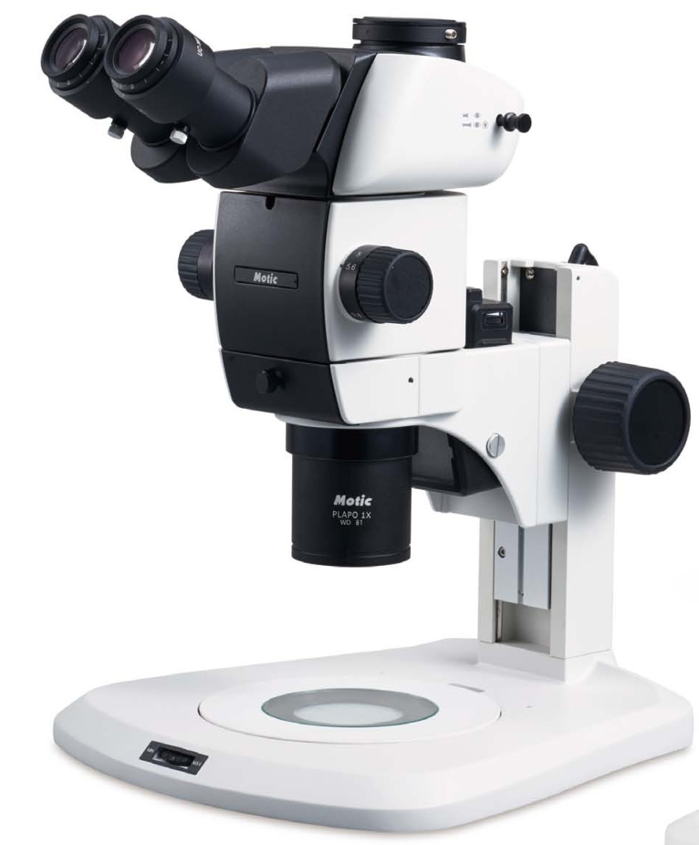 1590044953.jpg 1590044898(1).jpg