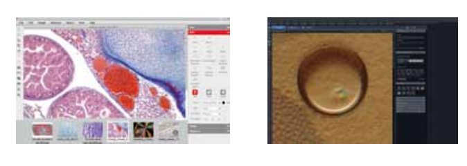 1590117339.png image.png