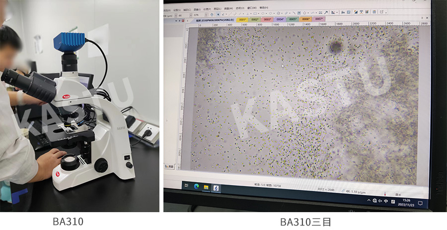 1703055256.jpg 未标题-1.jpg