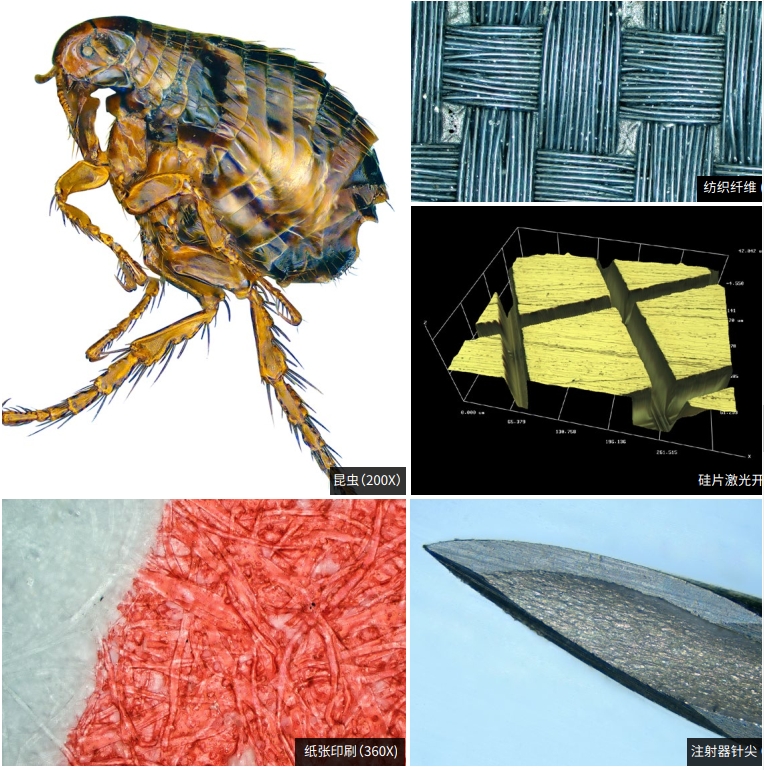 1704247853.jpg 21.jpg