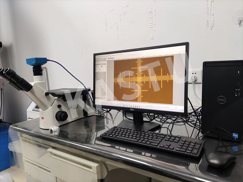 1704339522.jpg AE2000MET 拷贝.jpg