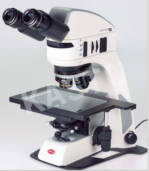 PantheraTEC 拷贝.jpg