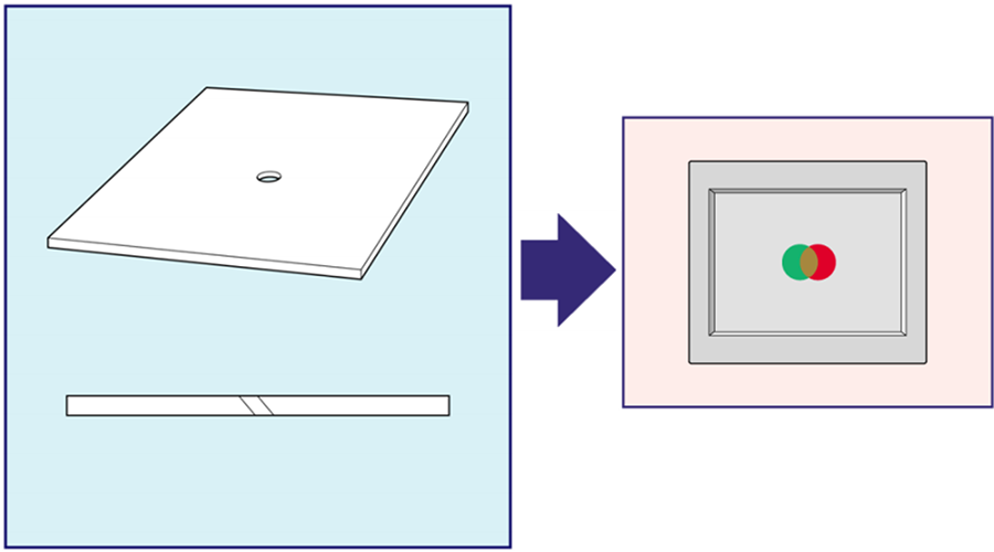 1735542919.png 图片8.png